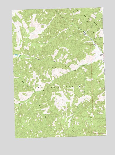Meyers Cove, ID USGS Topographic Map