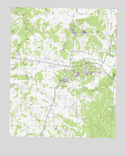 Michie, TN USGS Topographic Map