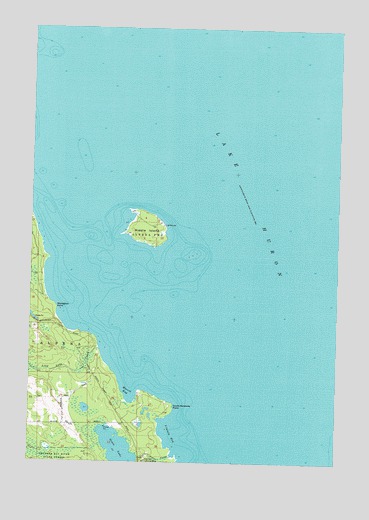 Middle Island, MI USGS Topographic Map