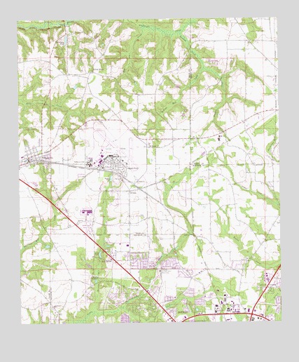 Midland City, AL USGS Topographic Map