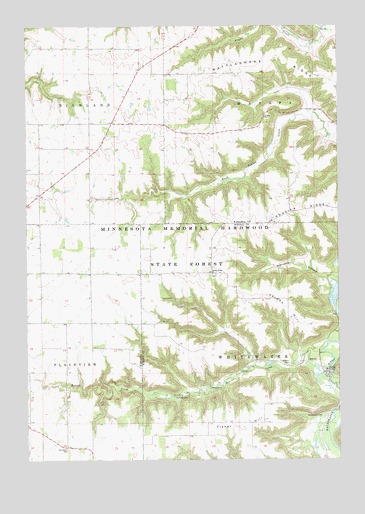 Beaver, MN USGS Topographic Map