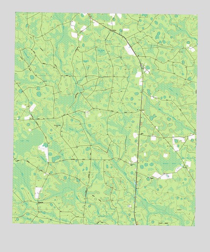 Midway, GA USGS Topographic Map