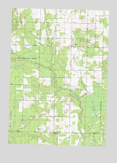 Mikado, MI USGS Topographic Map