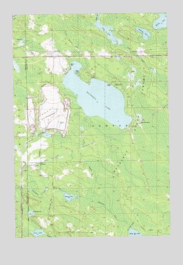 Milakokia Lake, MI USGS Topographic Map
