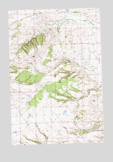 Milk Springs, MT USGS Topographic Map