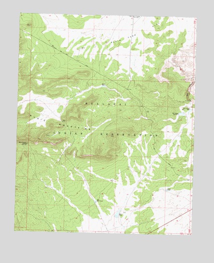 Milkweed Canyon SE, AZ USGS Topographic Map