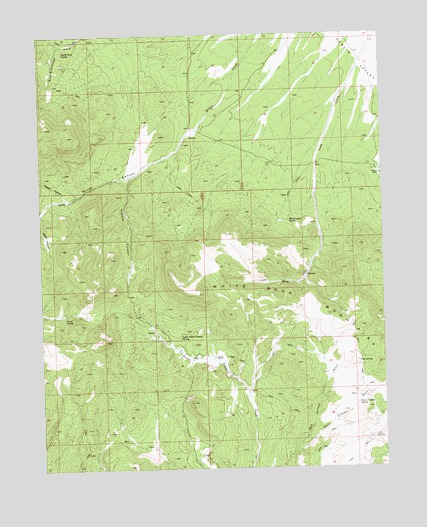 Miller Canyon, NV USGS Topographic Map