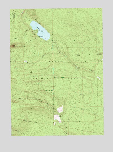 Miller Lake, OR USGS Topographic Map