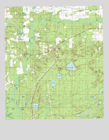 Millers Ferry, FL USGS Topographic Map
