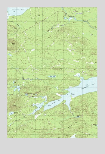 Millinocket Lake West, ME USGS Topographic Map