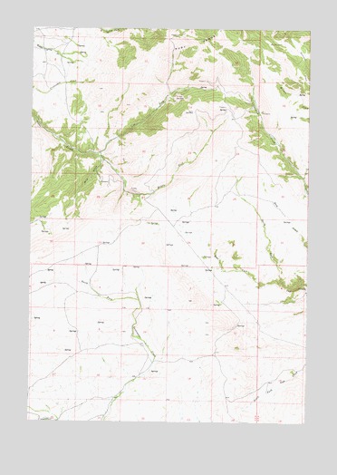 Mine Gulch, MT USGS Topographic Map