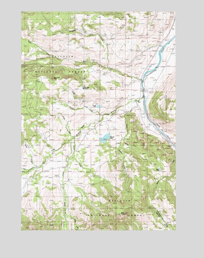 Miner, MT USGS Topographic Map