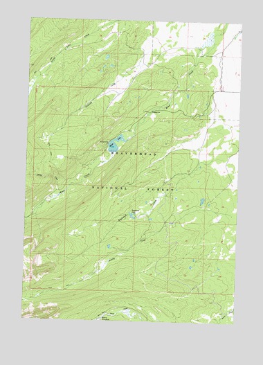 Lower Miner Lakes, MT USGS Topographic Map