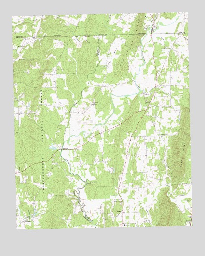 Beaverdale, GA USGS Topographic Map