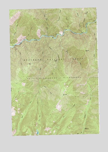 Mink Peak, ID USGS Topographic Map