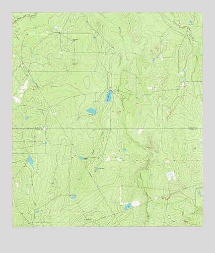 Mirasol Creek, TX USGS Topographic Map