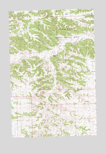 Mitchell Crossing, MT USGS Topographic Map