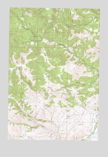 Mitchell Mountain, MT USGS Topographic Map