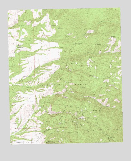Mogollon, NM USGS Topographic Map