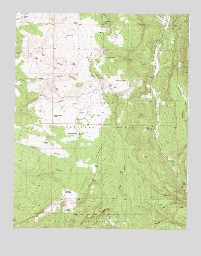 Mogote Peak, NM USGS Topographic Map
