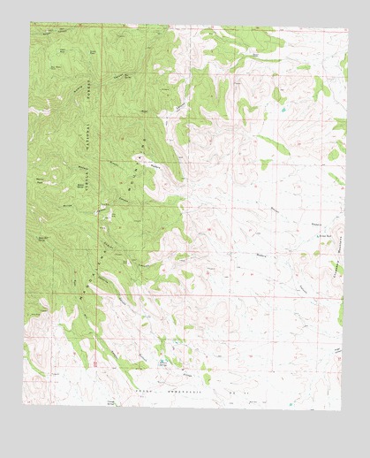 Molino Peak, NM USGS Topographic Map