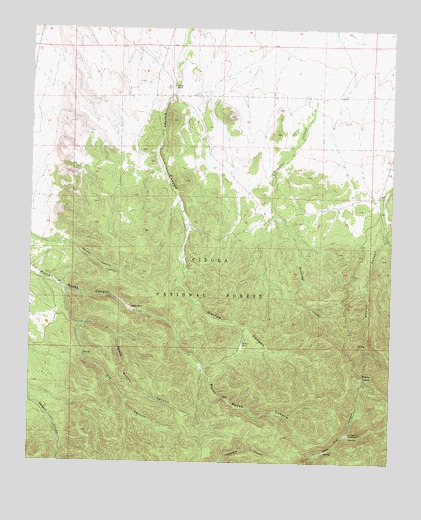 Monica Saddle, NM USGS Topographic Map