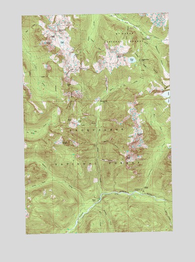Monte Cristo, WA USGS Topographic Map