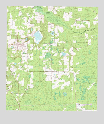 Monteocha, FL USGS Topographic Map