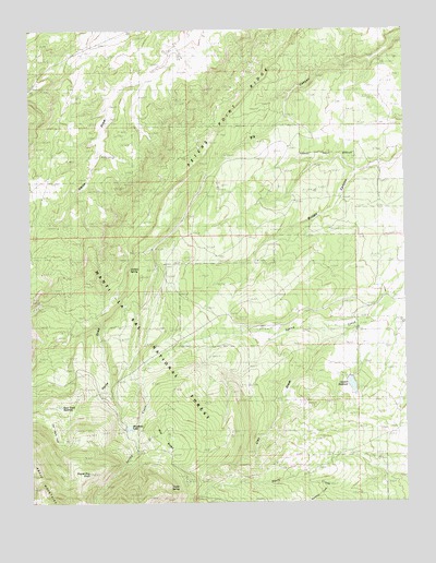 Monticello Lake, UT USGS Topographic Map