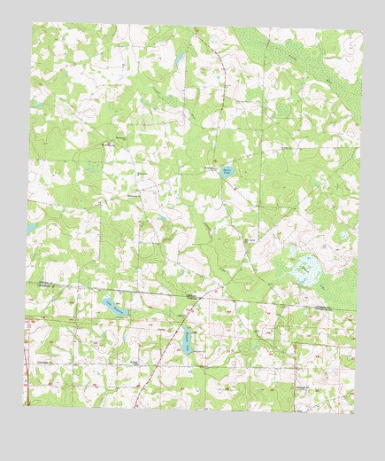 Monticello NE, FL USGS Topographic Map