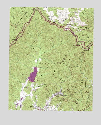 Montreat, NC USGS Topographic Map