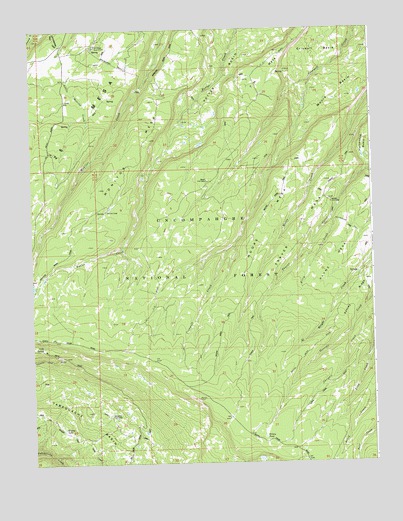 Moore Mesa, CO USGS Topographic Map