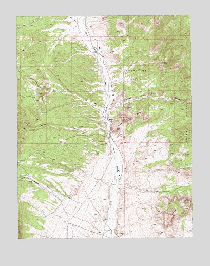 Moores Station, NV USGS Topographic Map