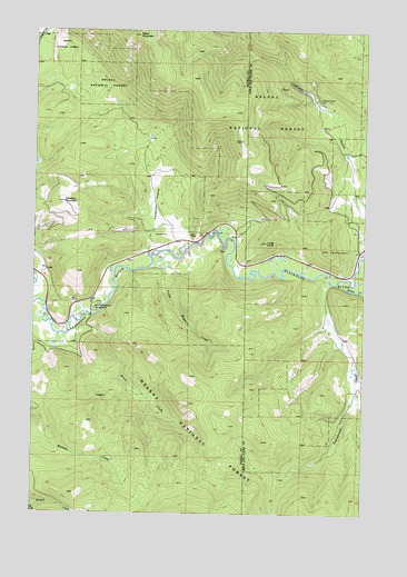Moose Creek, MT USGS Topographic Map