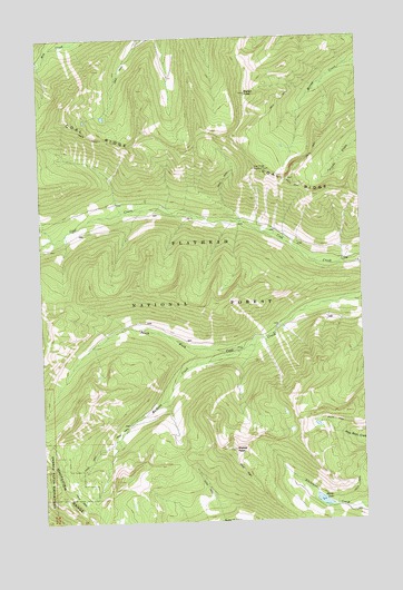 Moose Peak, MT USGS Topographic Map