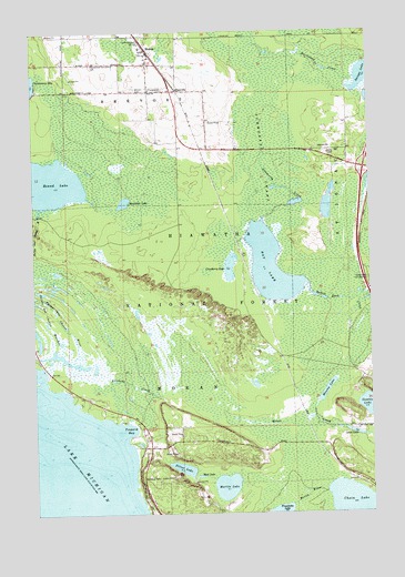 Moran, MI USGS Topographic Map