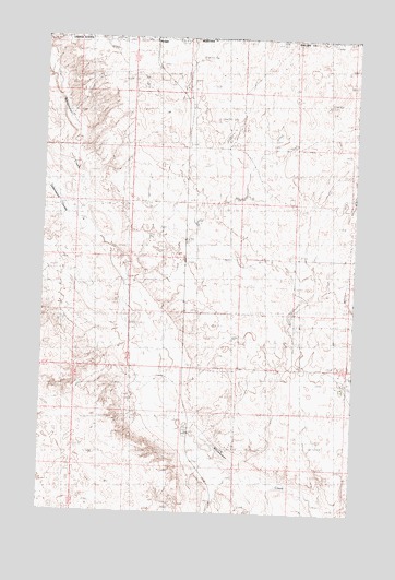 Morgan, MT USGS Topographic Map