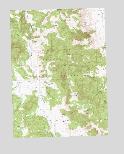 Morgan Butte, OR USGS Topographic Map