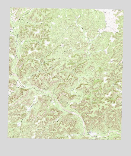 Bee Canyon, TX USGS Topographic Map