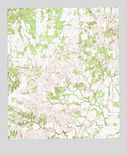 Morgan Mill, TX USGS Topographic Map