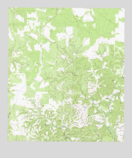 Bee Cave Hollow, TX USGS Topographic Map