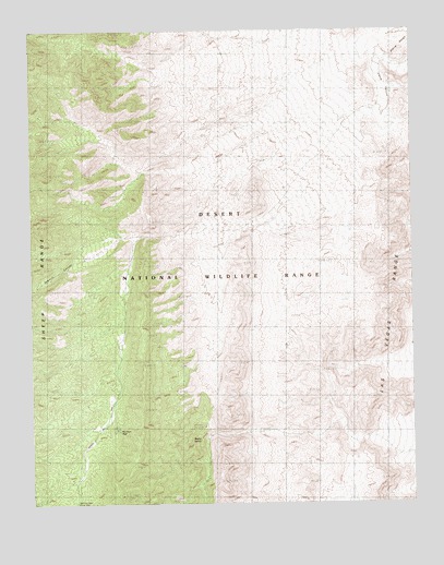 Mormon Well, NV USGS Topographic Map