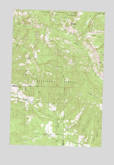Morrell Mountain, MT USGS Topographic Map