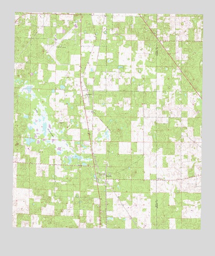 Morriston, FL USGS Topographic Map