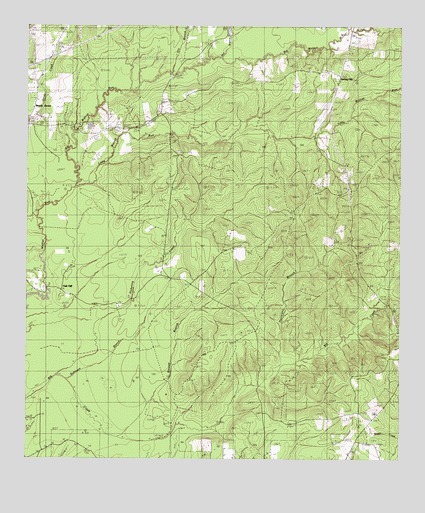 Beech Grove, TX USGS Topographic Map