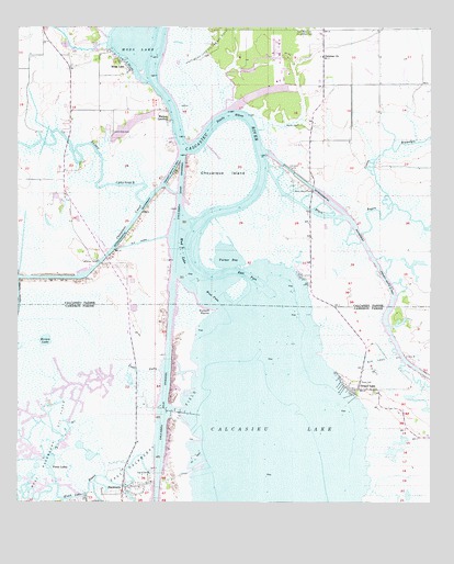 Moss Lake, LA USGS Topographic Map