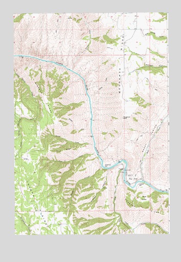 Moughmer Point, ID USGS Topographic Map