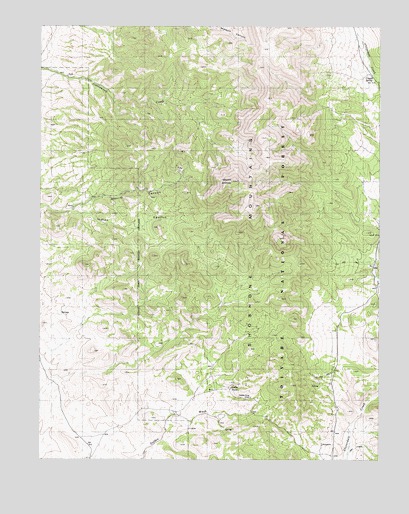 Mount Ardivey, NV USGS Topographic Map