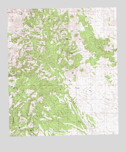 Mount Baldy, NM USGS Topographic Map