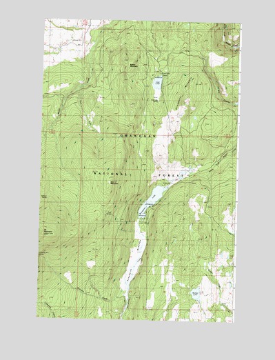 Mount Bonaparte, WA USGS Topographic Map